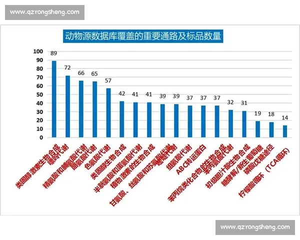 官方确认信息发布推动事件真相权威定性全面解读深度分析与后续影响